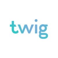 Аккаунты Twig